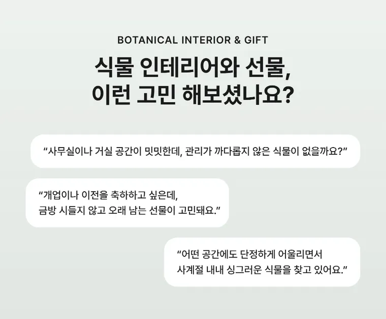 홍콩야자 — 상품 상세