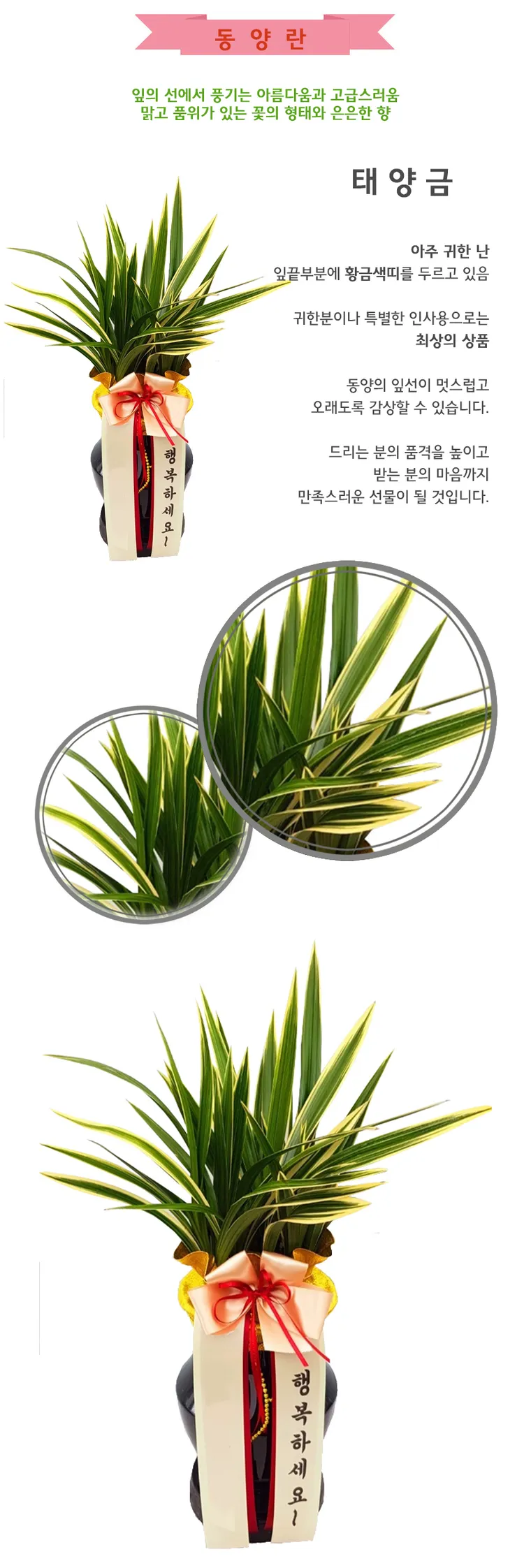 태양금 — 상품 상세