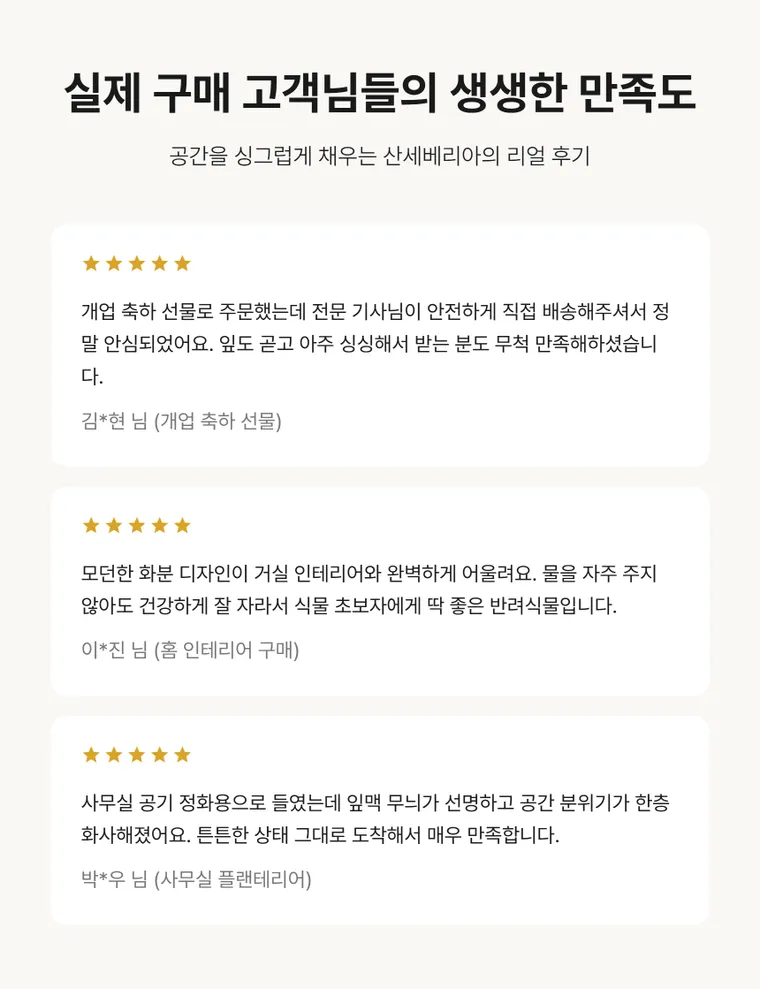 산세베리아 A — 상품 상세
