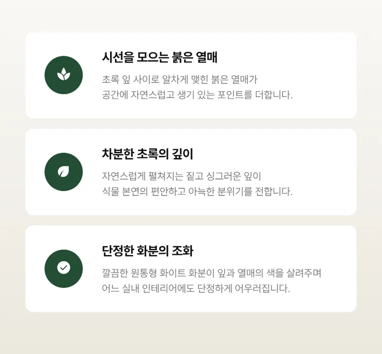 만냥금 — 상품 상세