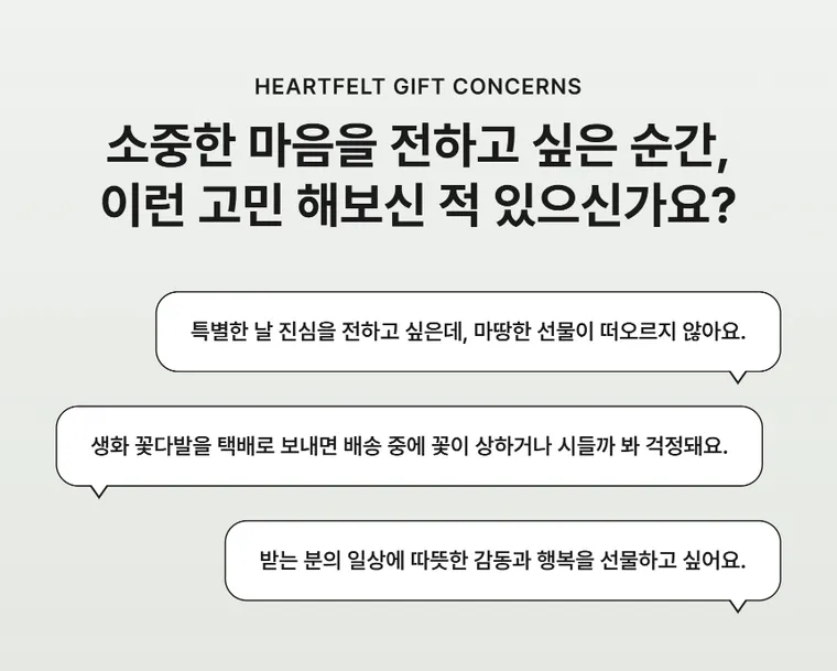 크림선샤인 — 상품 상세
