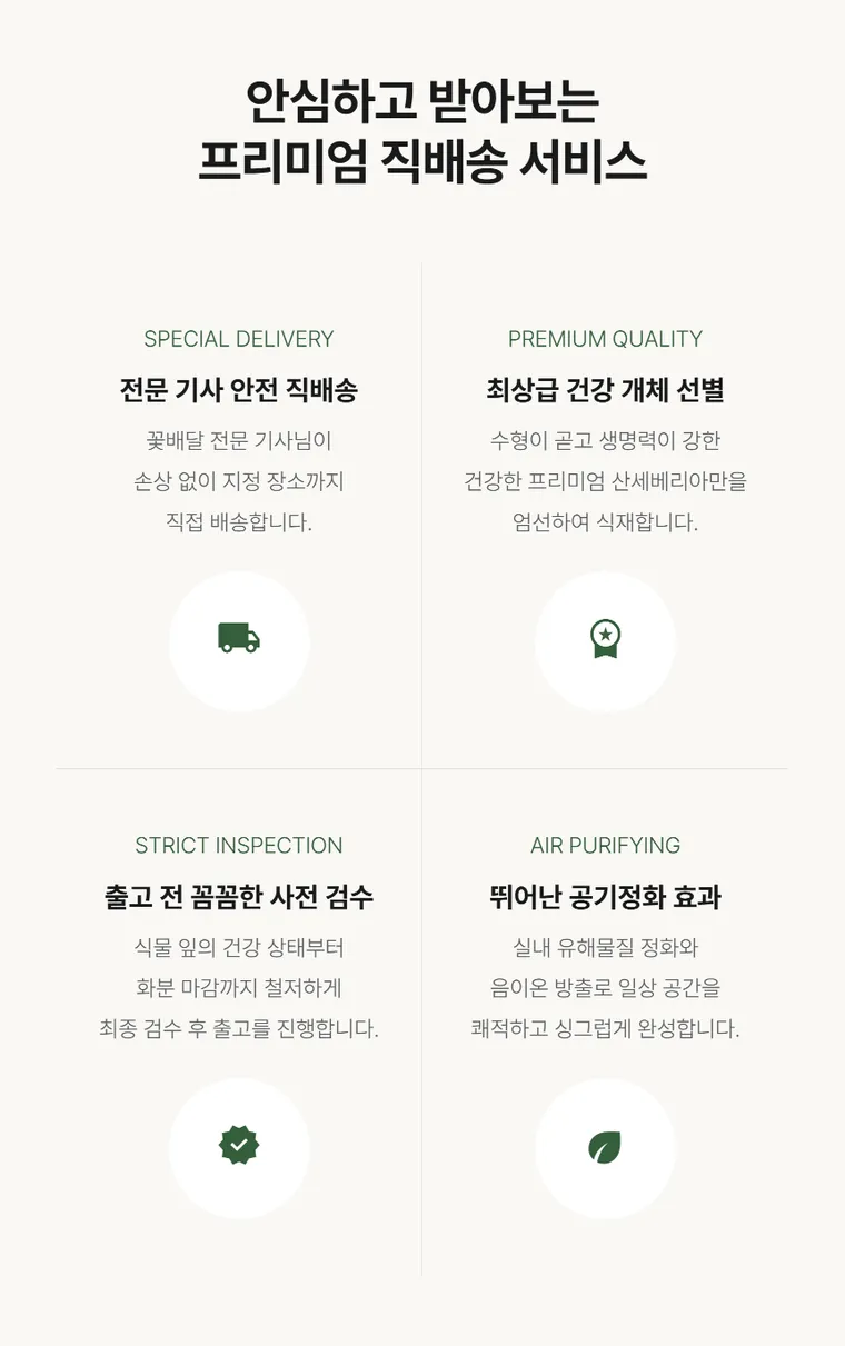 산세베리아 A — 상품 상세
