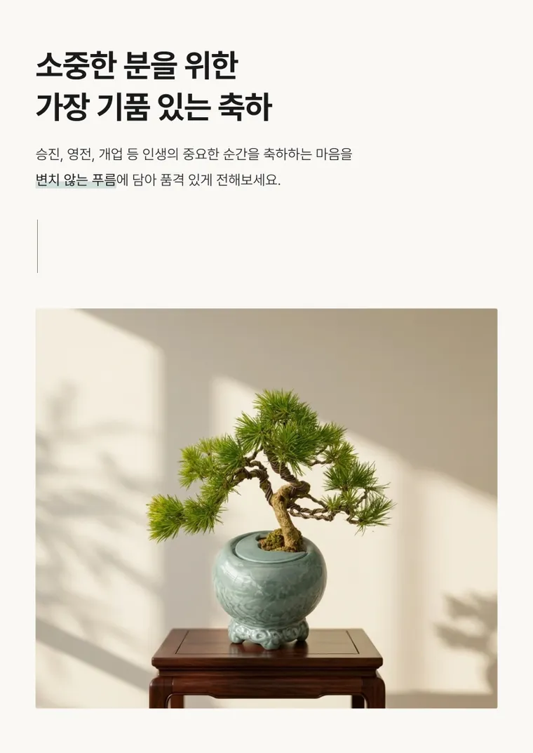 해송 A — 상품 상세