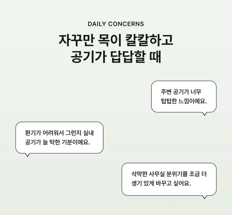 아레카야자 C — 상품 상세