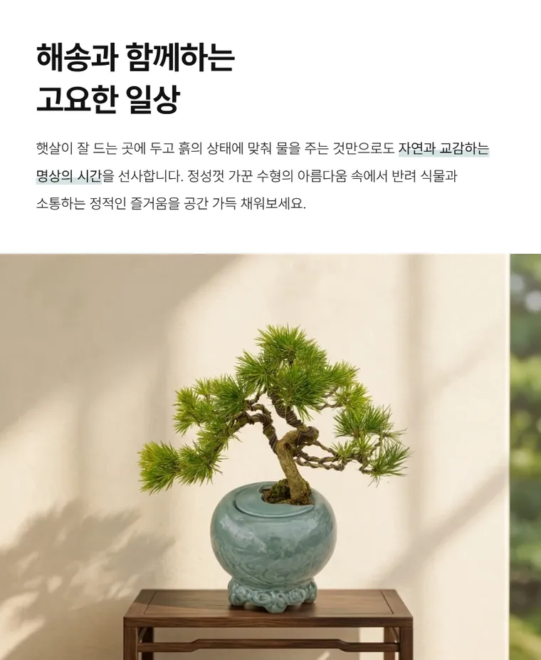 해송 A — 상품 상세