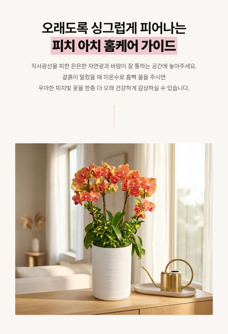 Lan hồ điệp Peach Arch — Hình chi tiết