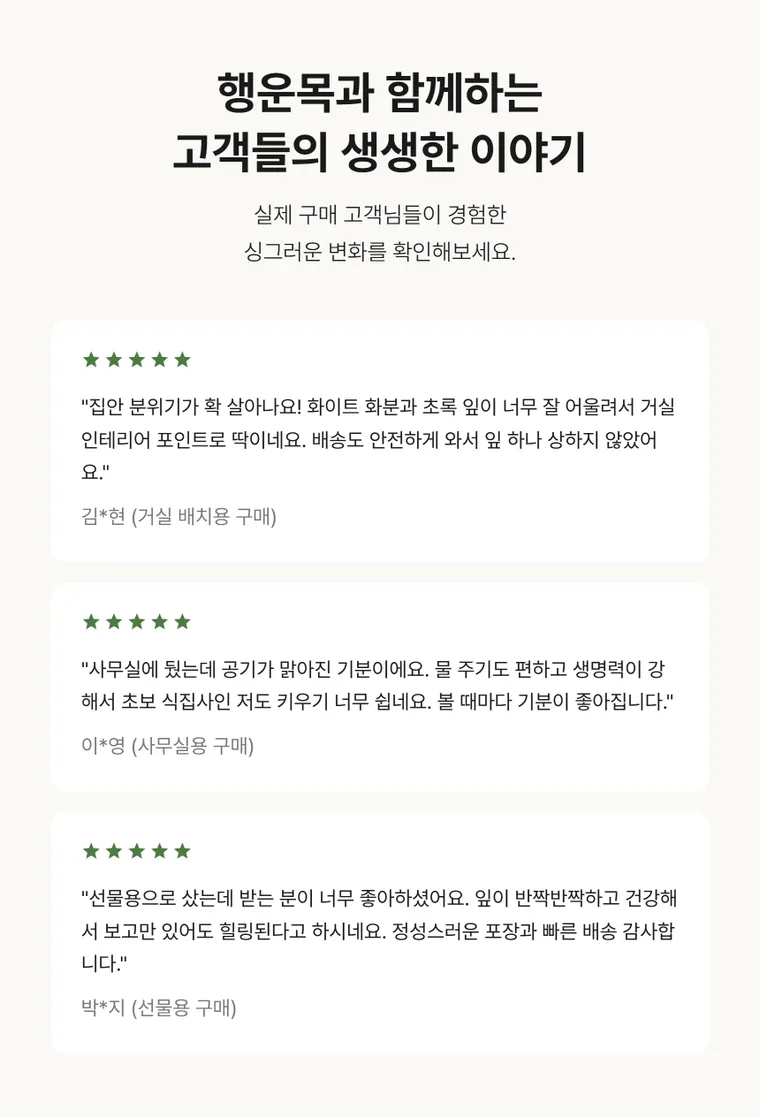 행운목 A — 상품 상세