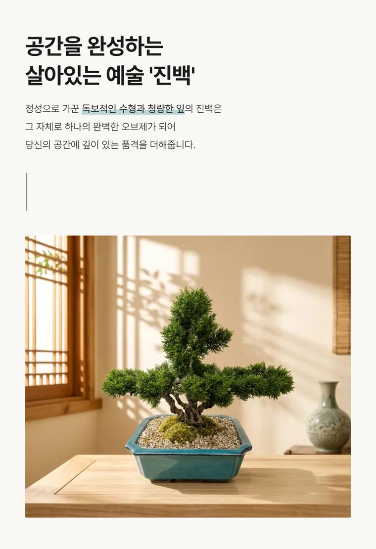 진백 A — 상품 상세