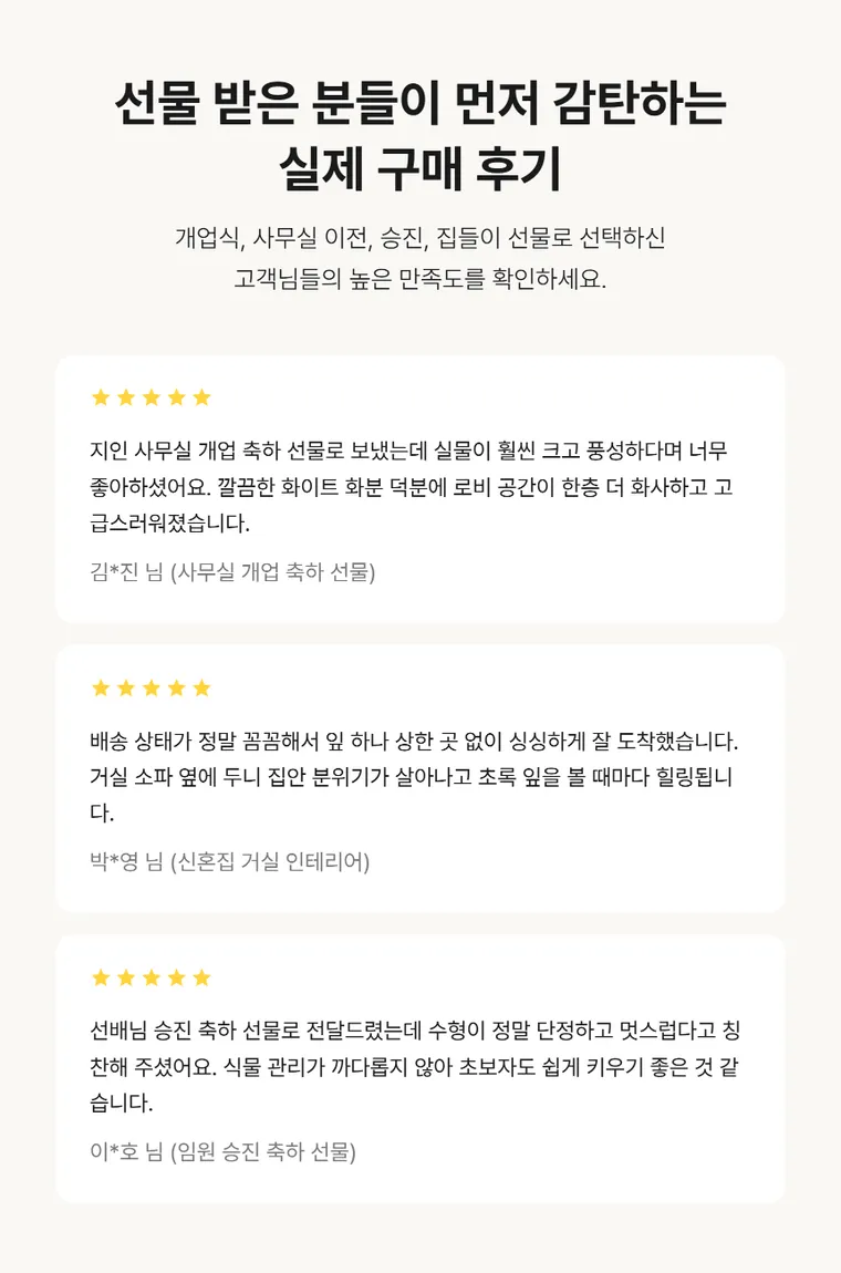 홍콩야자 — 상품 상세
