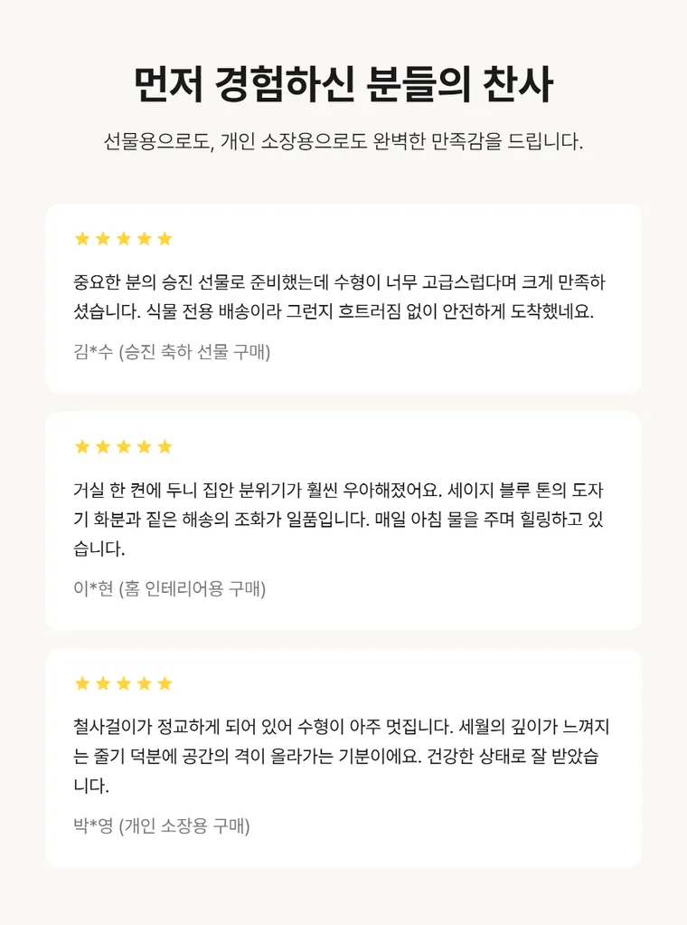 해송 A — 상품 상세