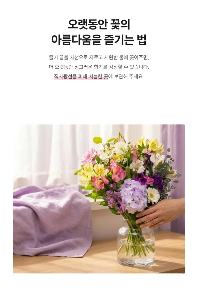 Lavender bloom — Hình chi tiết