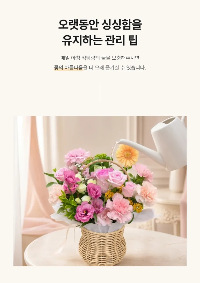 러블리 피크닉 — 상품 상세