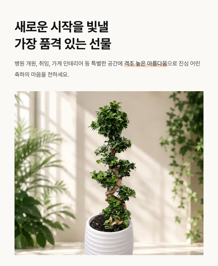 가지마루B — 상품 상세