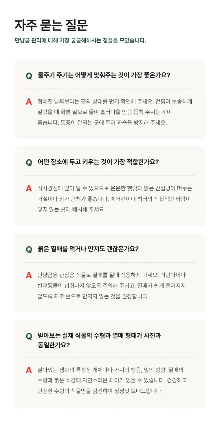 만냥금 — 상품 상세
