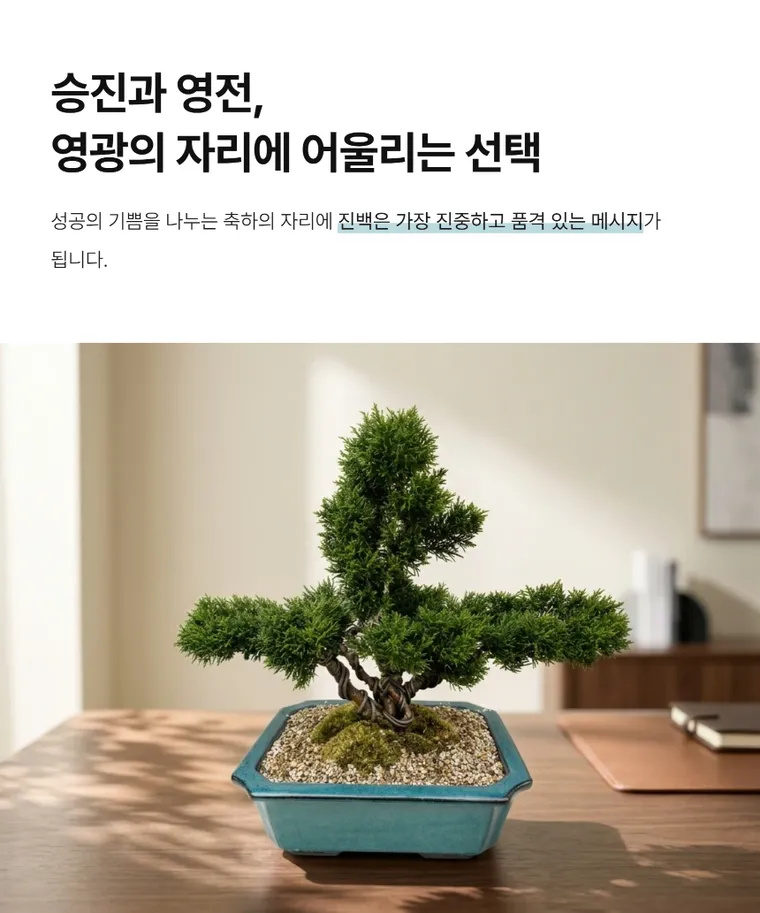 진백 A — 상품 상세