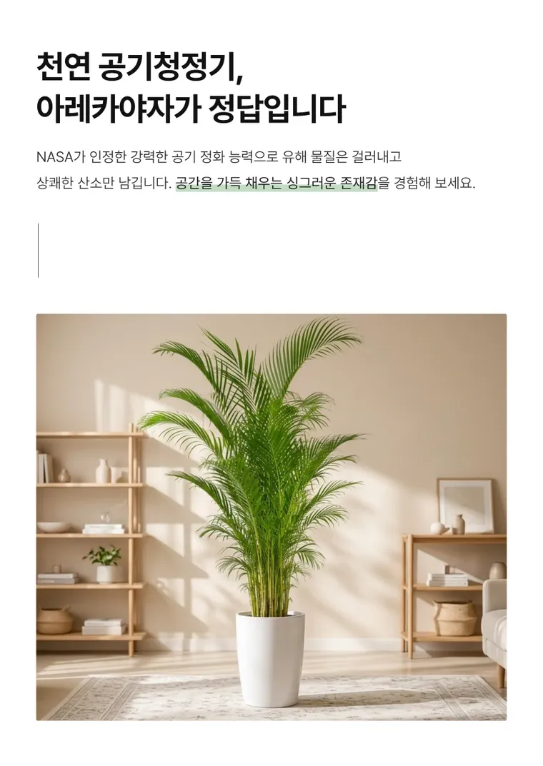 아레카야자 C — 상품 상세
