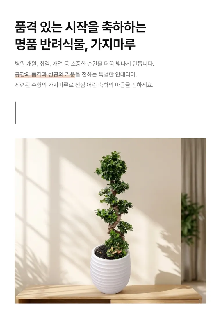 가지마루B — 상품 상세
