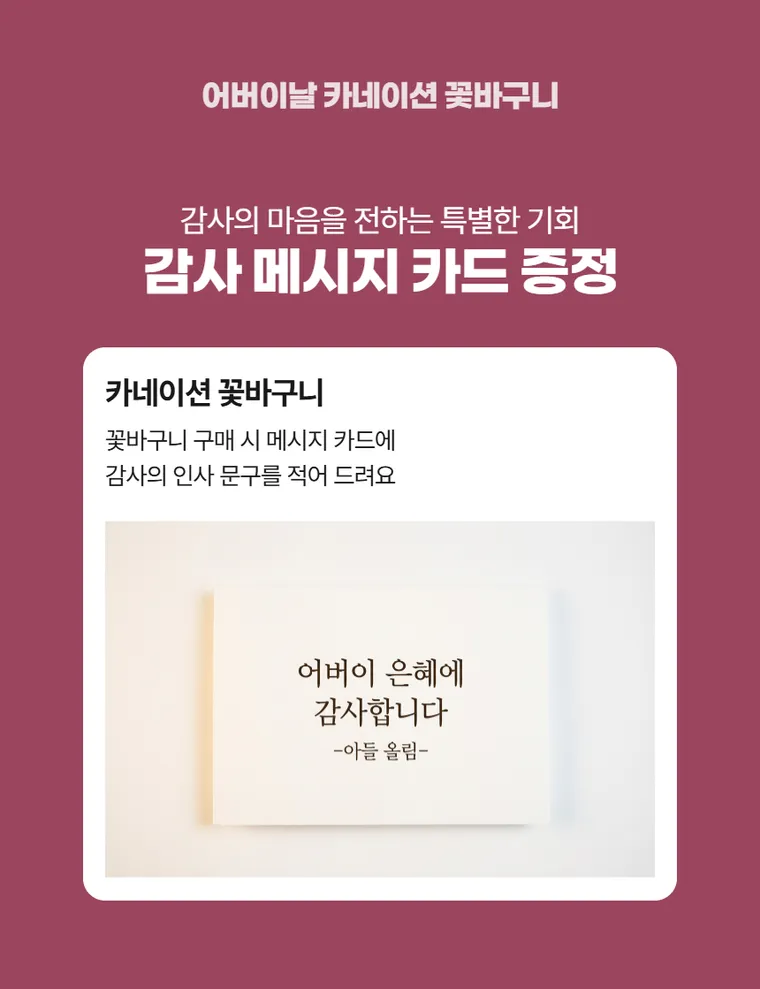 카네이션 B — 상품 상세