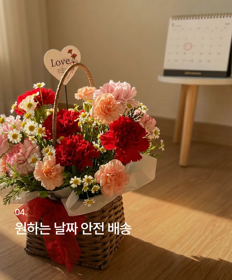 카네이션 C — 상품 상세