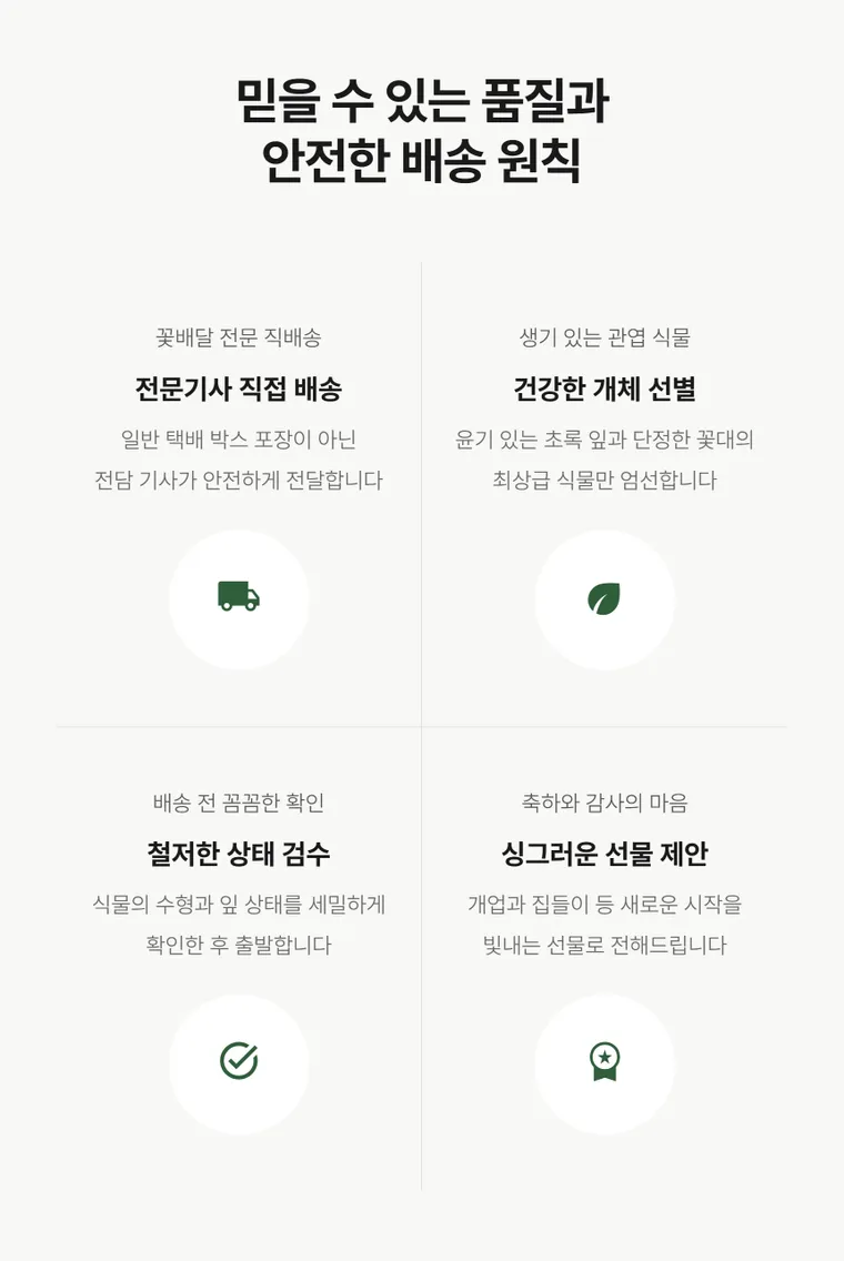 스파트필름 A — 상품 상세