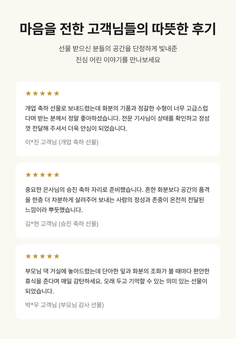 관음죽(서황금) — 상품 상세