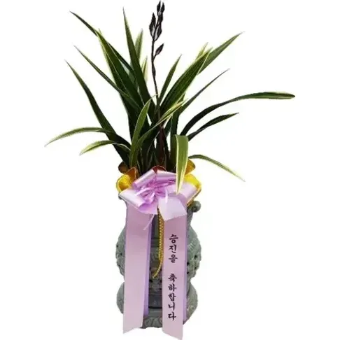 大勋 （镂空花盆）