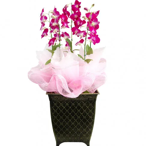 For Business flowers