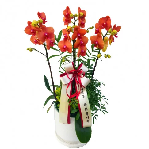 Congratulations flowers