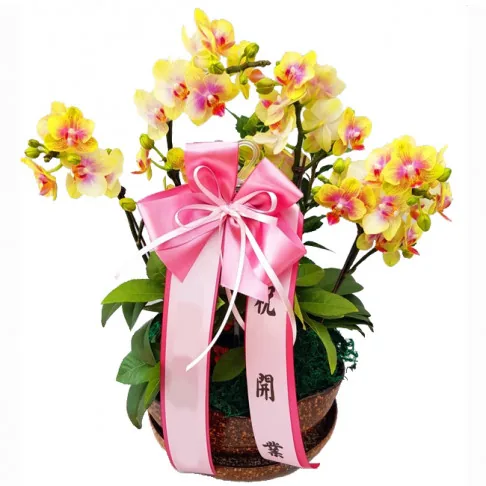 Business flowers