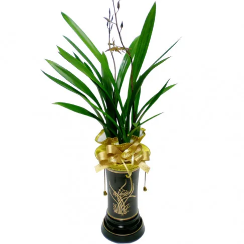 For Him flowers